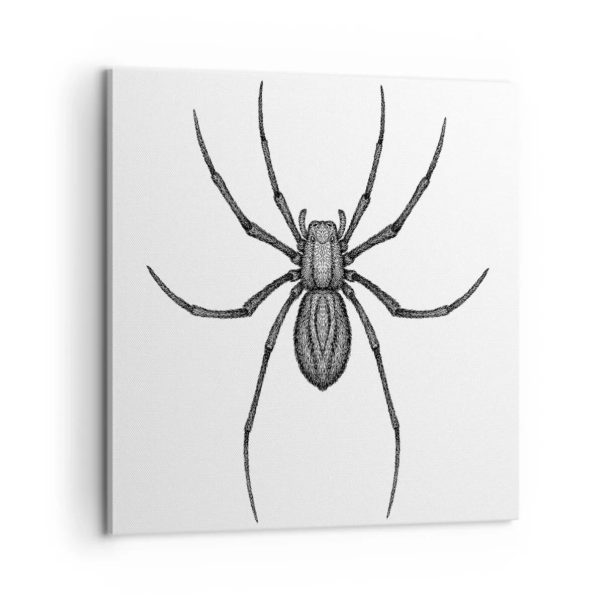 Impression sur toile - Image sur toile - Une précision troublante - 60x60 cm