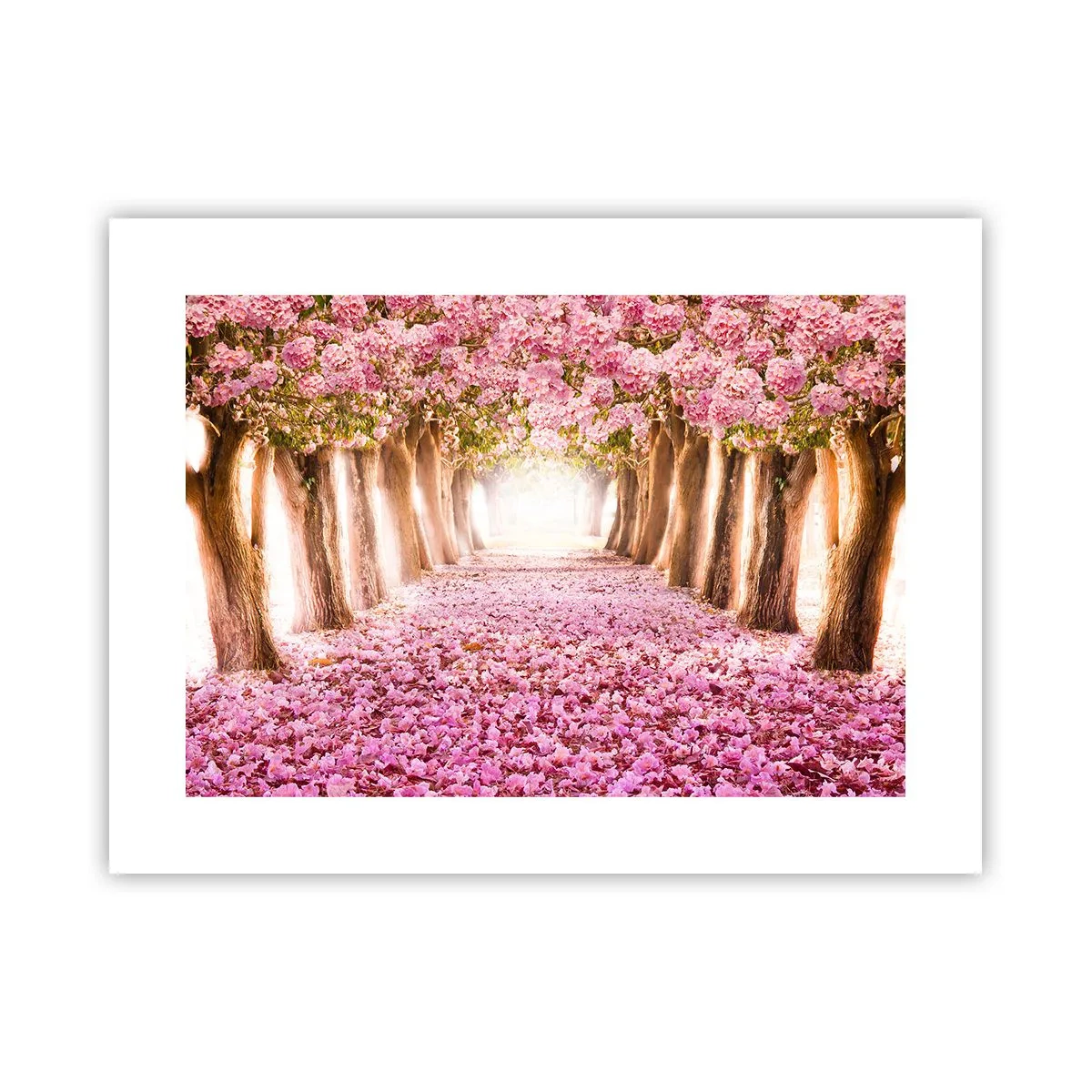 Affiche - Poster - La route du paradis - 40x30 cm