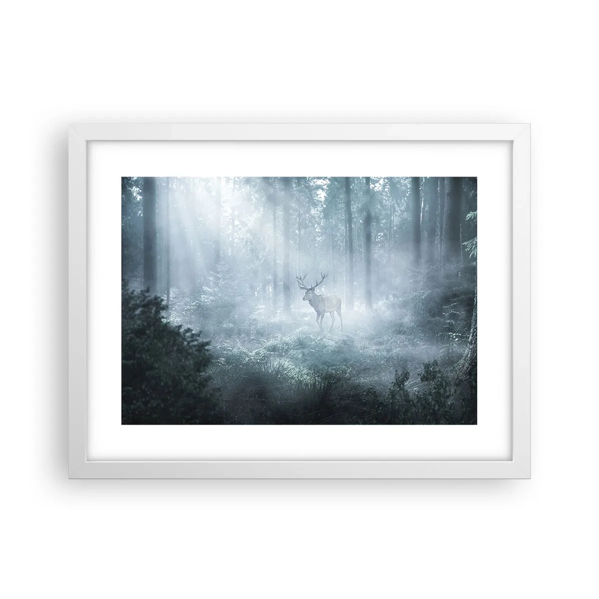 Affiche dans un cadre blanc - Poster - Visite matinale du domaine - 40x30 cm