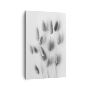 Impression sur toile - Image sur toile - Graminées délicates dans des tons de gris sur fond blanc - 80x120cm - Son herbe duveteuse - Décoration murale moderne pour le salon et la chambre ARTTOR