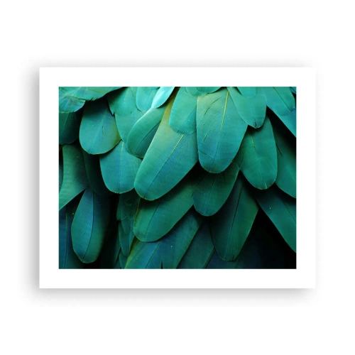 Affiche - Poster - Perfection de la nature du perroquet - 50x40 cm