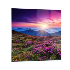 Impression sur verre - Image sur verre - Les herbes sentaient les grappes fraîches de la récolte - 70x70 cm