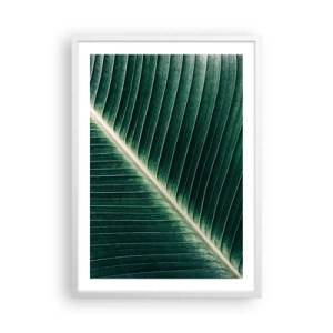Affiche dans un cadre blanc - Poster - Le rythme de la nature - 50x70 cm
