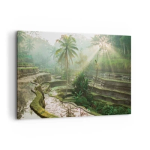 Impression sur toile - Image sur toile - Rizières en terrasses avec palmiers sous les rayons du soleil - 120x80cm - Grandir au soleil - Décoration murale moderne pour le salon et la chambre ARTTOR