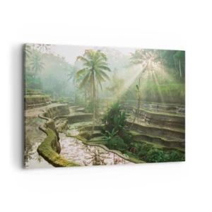 Impression sur toile - Image sur toile - Rizières en terrasses avec palmiers sous les rayons du soleil - 100x70cm - Grandir au soleil - Décoration murale moderne pour le salon et la chambre ARTTOR