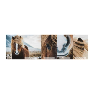 Échantillon de Papier Peint Autocollant Deluxe Sticker - Sentez-vous la liberté ? - Cheval, Nature, Animaux - 100x30 cm