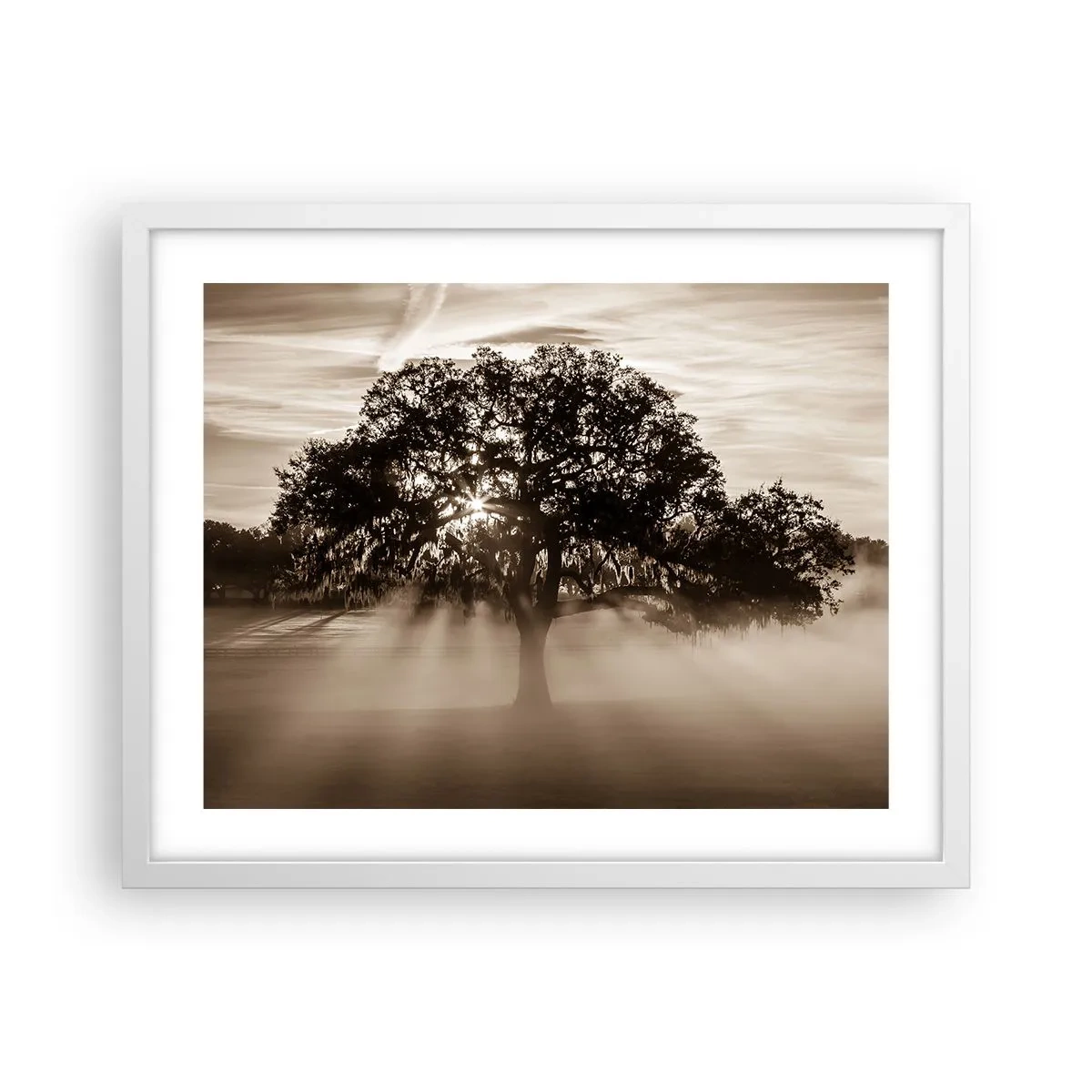 Affiche dans un cadre blanc - Poster - Arbre de bonnes nouvelles - 50x40 cm