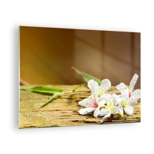 Impression sur verre - Image sur verre - Fleurs blanches sur fond de bois dans une lumière chaude - 70x50cm - Une promesse innocente - Décoration murale moderne pour le salon et la chambre ARTTOR