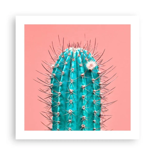 Affiche - Poster - Juste regarde - 50x50 cm