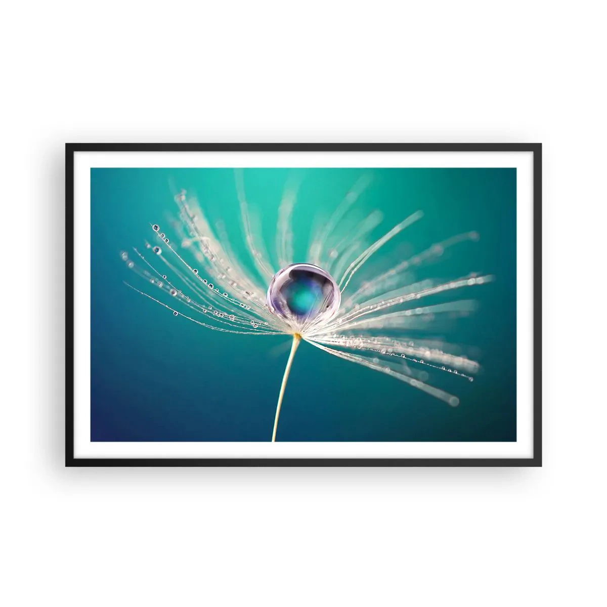 Affiche dans un cadre noir - Poster - Moment mystique - 91x61 cm