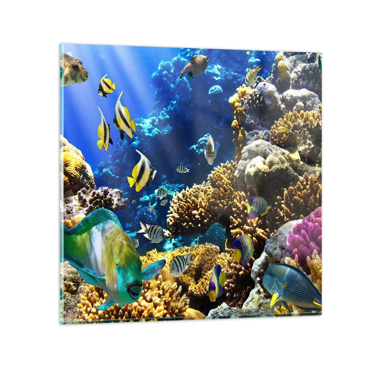 Impression sur verre - Image sur verre - Beaucoup de circulation sur la route des vacances - 40x40 cm