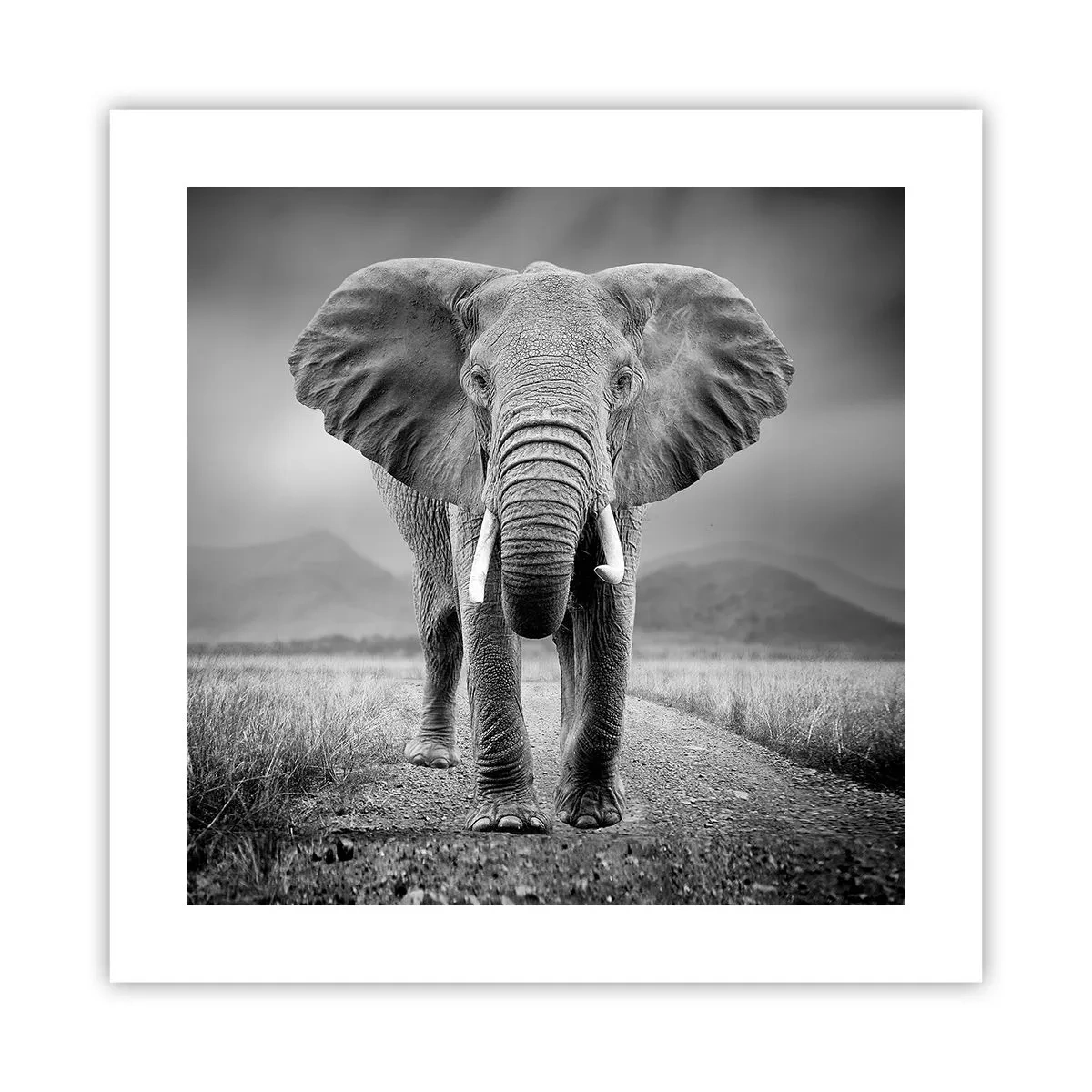 Affiche - Poster - Les hôtes vous saluent - 40x40 cm