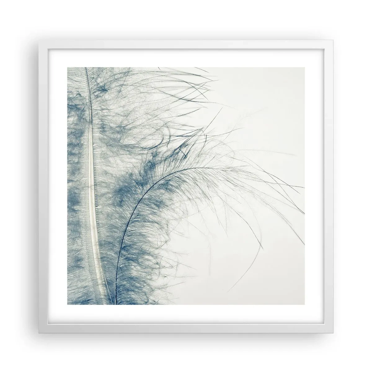 Affiche dans un cadre blanc - Poster - Les sept natures - 50x50 cm