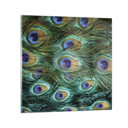Impression sur verre - Image sur verre - Un regard de paon - 70x70 cm
