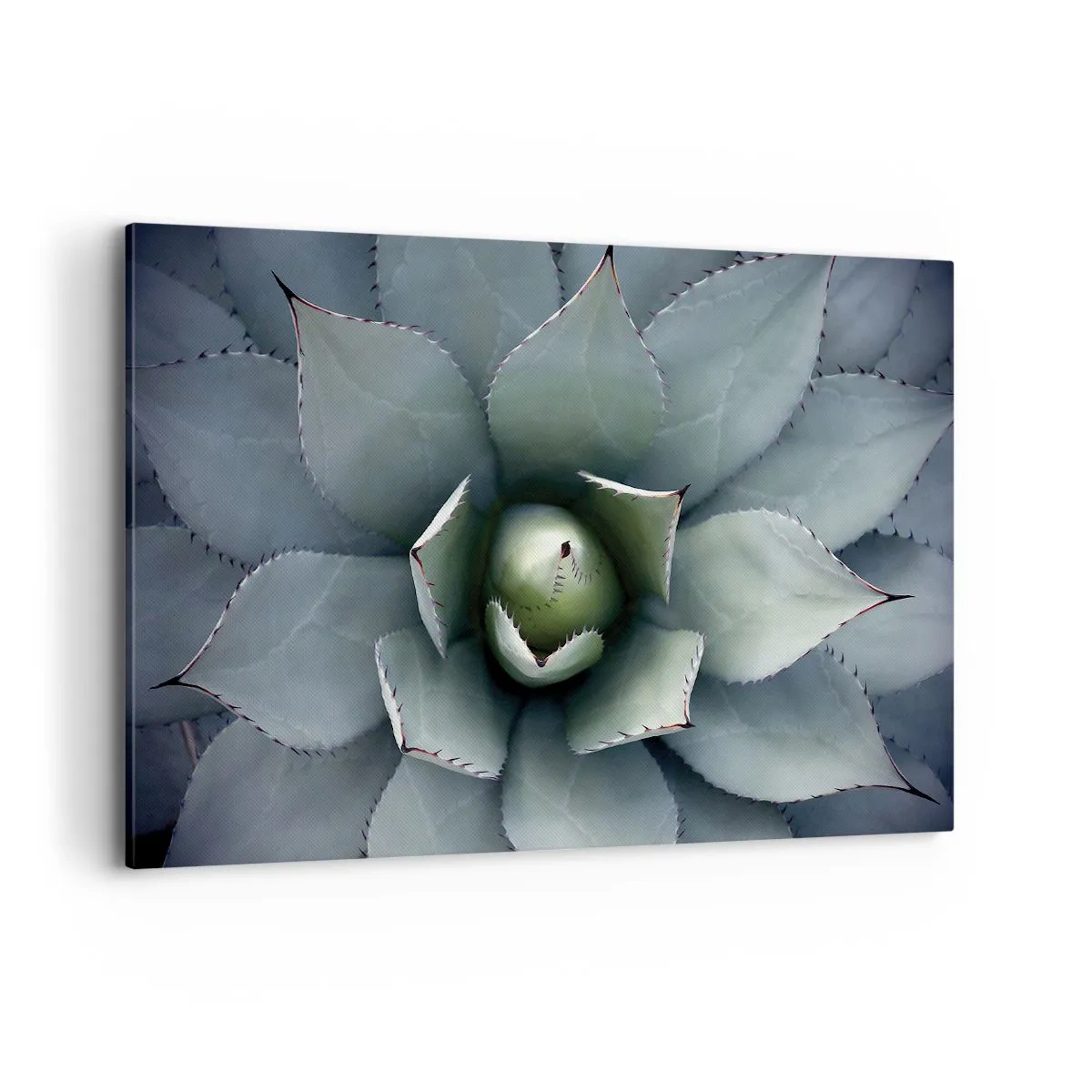 Impression sur toile - Image sur toile - Gros plan d'une rosette d'agave aux délicates nuances de vert - 100x70cm - Wabi et observe - Décoration murale moderne pour le salon et la chambre ARTTOR