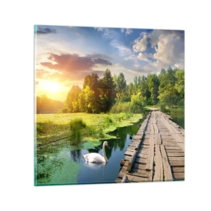 Impression sur verre - Image sur verre - L'été, l'été partout - 40x40 cm