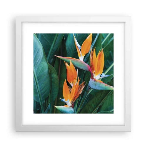 Affiche dans un cadre blanc - Poster - Est-ce une fleur, est-ce un oiseaux? - 30x30 cm