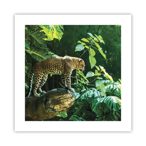 Affiche - Poster - À la chasse? - 40x40 cm