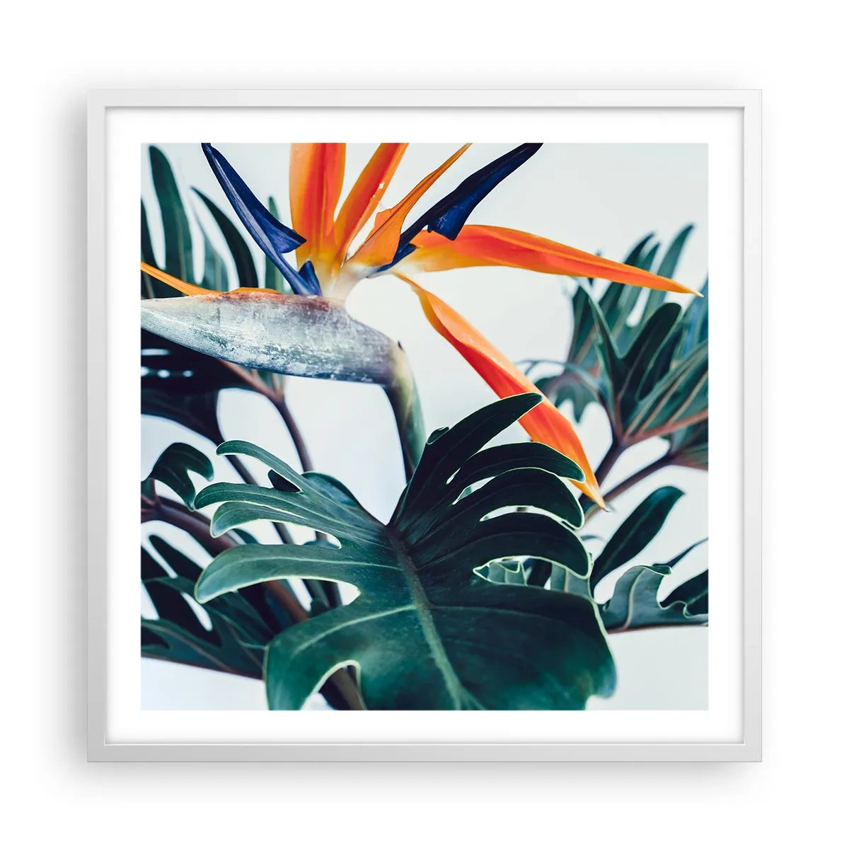 Affiche dans un cadre blanc - Poster - Le buisson oiseaux - 60x60 cm