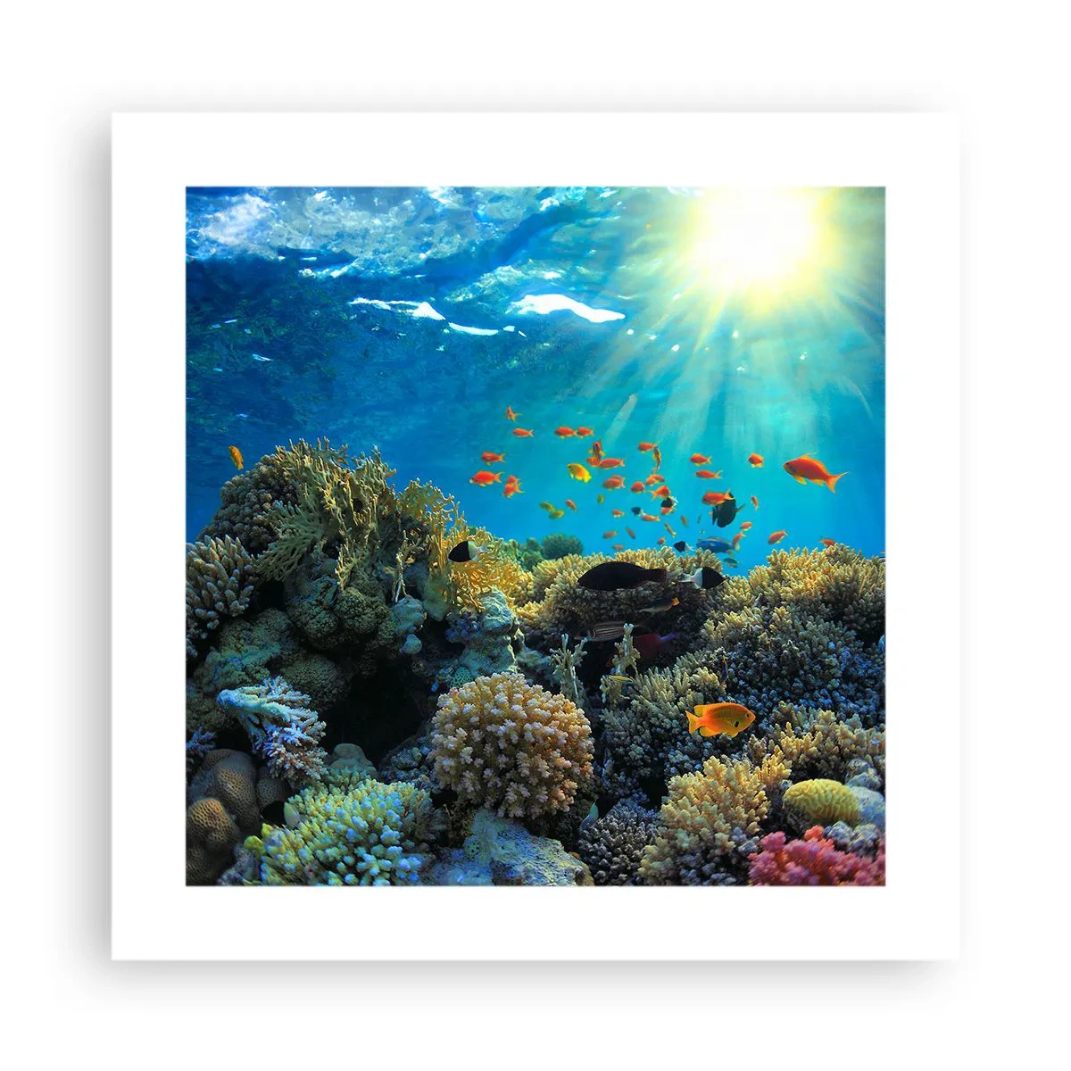 Affiche - Poster - Trésor sous-marin - 40x40 cm