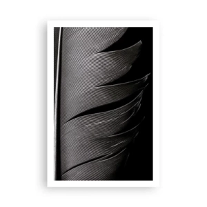 Affiche - Poster - La plume – un design magnifique - 61x91 cm