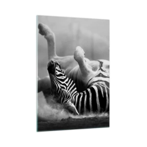 Impression sur verre - Image sur verre - Un zèbre couché dans la savane africaine - 50x70cm - Pas uniquement le cheval en rirait - Décoration murale moderne pour le salon et la chambre ARTTOR