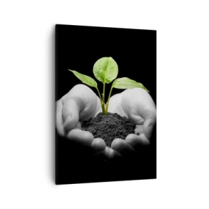 Impression sur toile - Image sur toile - Mains tenant une plante verte sur fond noir - 50x70cm - J'aime la nature, je la protège - Décoration murale moderne pour le salon et la chambre ARTTOR