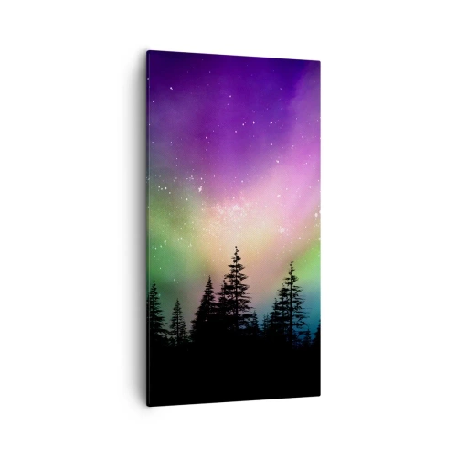 Impression sur toile - Image sur toile - Magie blanche - 55x100 cm