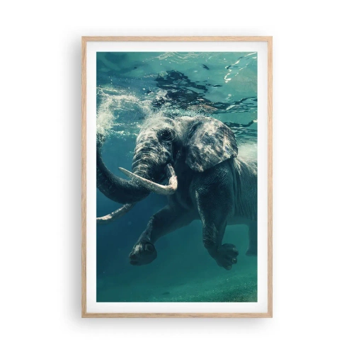 Affiche dans un chêne clair - Poster - Tout le monde aime nager - 61x91 cm