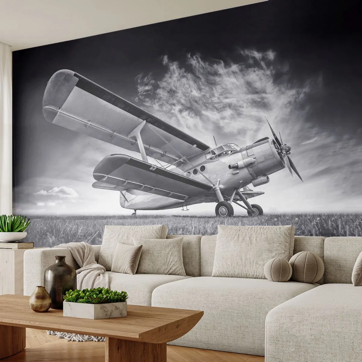 Papier Peint Autocollant Deluxe Sticker - Le pèlerin ailé - Avion, Avion, Noir et blanc - 250x175 cm