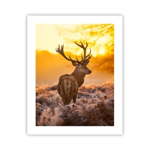 Affiche - Poster - Roi de la forêt automnal - 40x50 cm