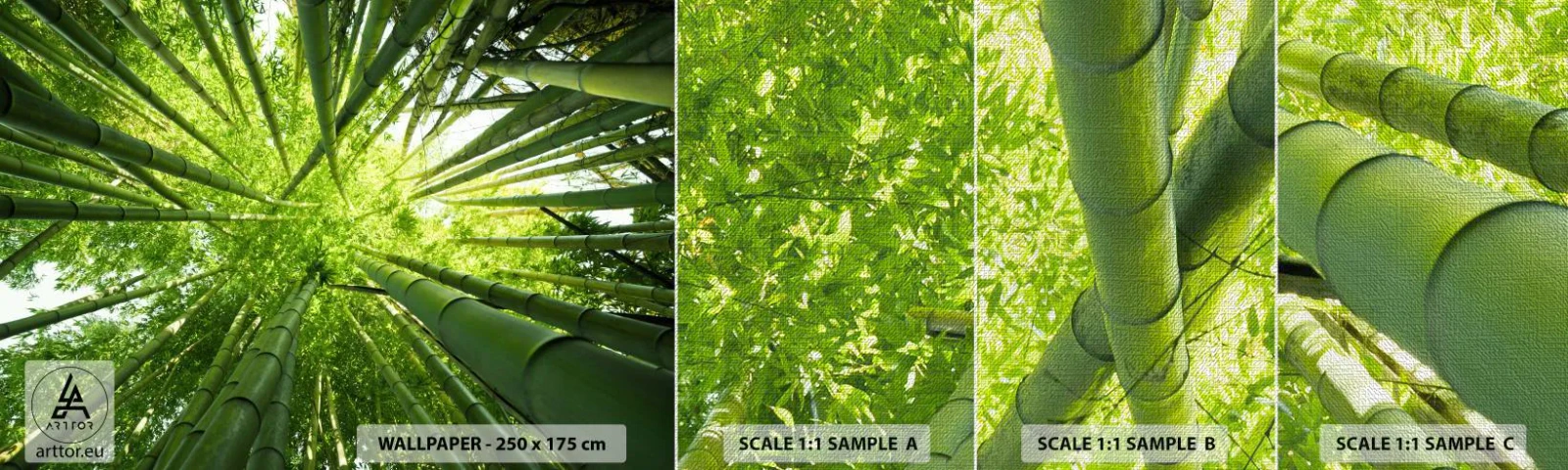 Échantillon de Papier Peint Premium Canvas - Dans une bambouseraie - Foret de bambou, Jungle, Bambou - 100x30 cm