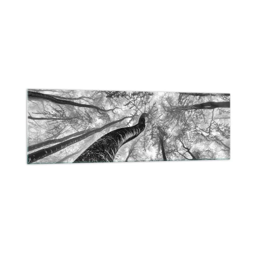 Impression sur verre - Image sur verre - Perspective d'arbres dans une forêt vue d'en bas en nuances de gris - 160x50cm - Course vers la lumière - Décoration murale moderne pour le salon et la chambre ARTTOR