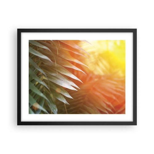 Affiche dans un cadre noir - Poster - Matinée dans la jungle - 50x40 cm