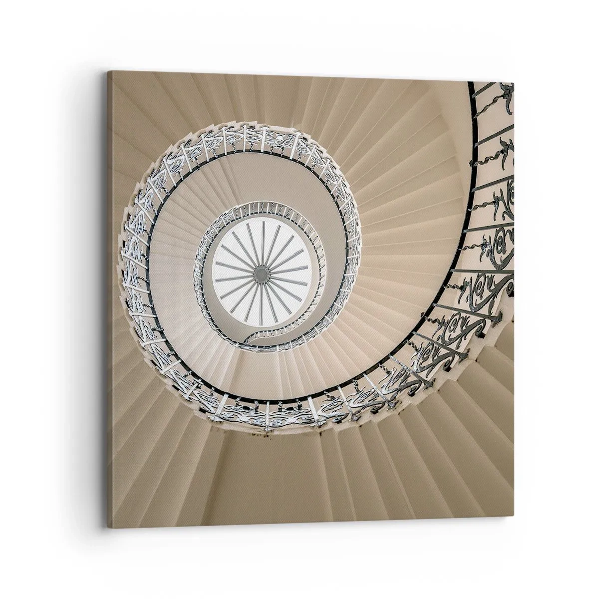 Impression sur toile - Image sur toile - À l'intérieur de la coquille - 70x70 cm