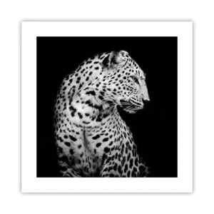 Affiche - Poster - Presque un profil parfait! - 40x40 cm