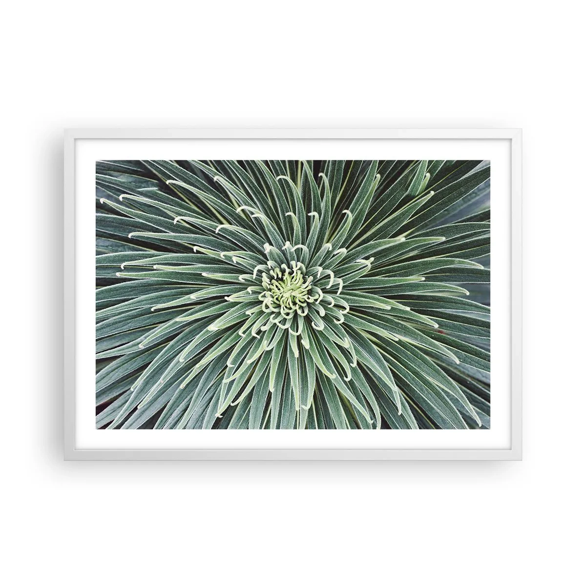 Affiche dans un cadre blanc - Poster - Naissance d'une étoile - 70x50 cm