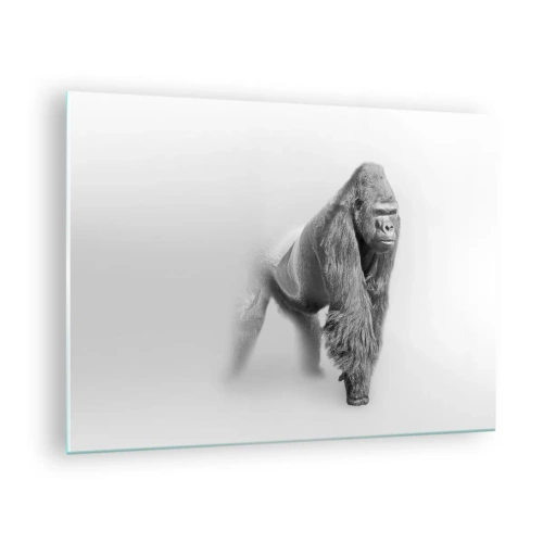 Impression sur verre - Image sur verre - Portrait noir et blanc d'un gorille majestueux sur fond blanc - 70x50cm - Confiant en sa force - Décoration murale moderne pour le salon et la chambre ARTTOR