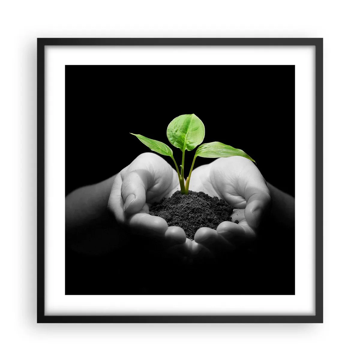 Affiche dans un cadre noir - Poster - J'aime la nature, je la protège - 50x50 cm