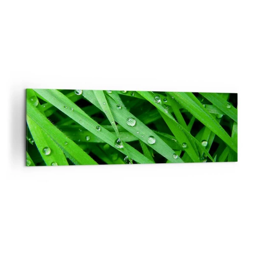 Impression sur toile - Image sur toile - Gros plan de brins d'herbe verte avec des gouttes de rosée - 160x50cm - Jouez dans le vert - Décoration murale moderne pour le salon et la chambre ARTTOR