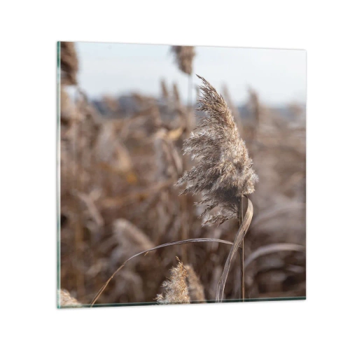 Impression sur verre - Image sur verre - Il est temps de s'envoler avec le vent - 70x70 cm