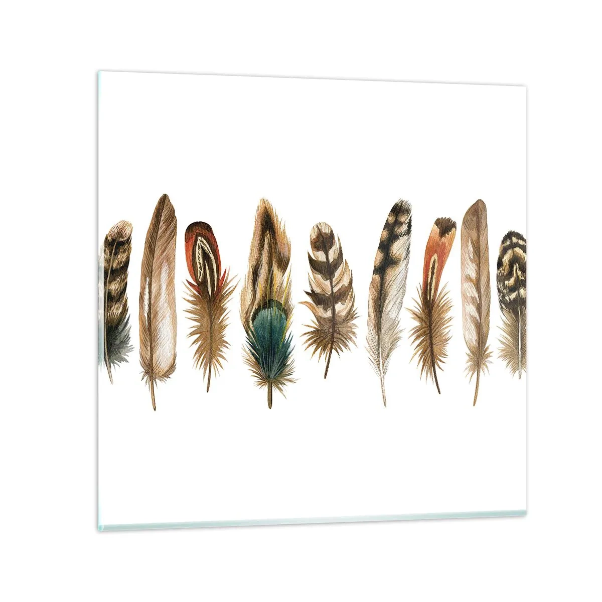 Impression sur verre - Image sur verre - Variation à plumes - 30x30 cm