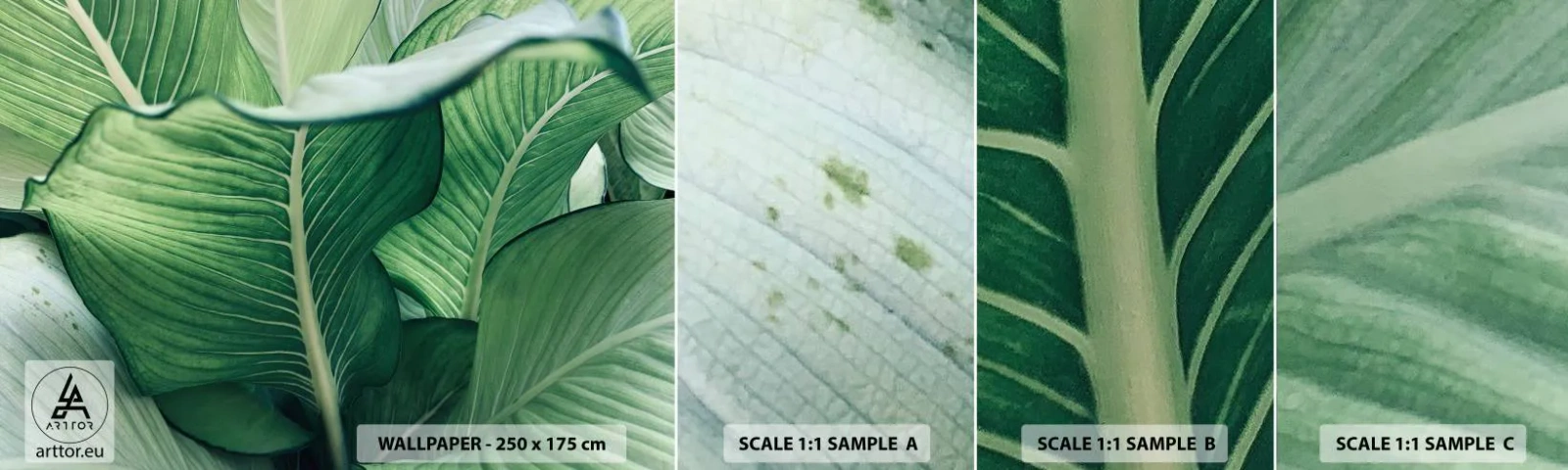 Échantillon de Papier Peint Autocollant Deluxe Sticker - Une vie intensément verte - Feuilles, Exotique, Botanique - 100x30 cm