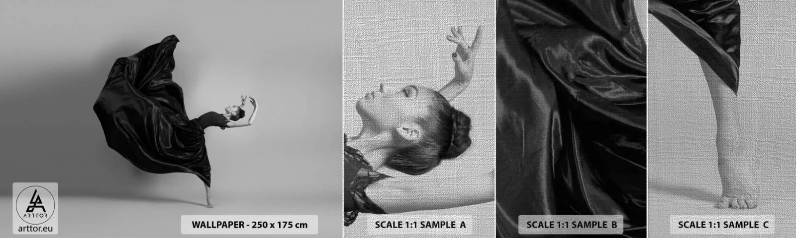 Échantillon de Papier Peint Premium Canvas - Musique ailées - Danse, Femme, Danseur - 100x30 cm