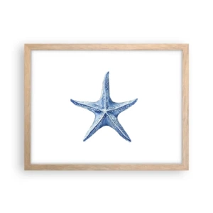 Affiche dans un chêne clair - Poster - Étoile de mer - 40x30 cm