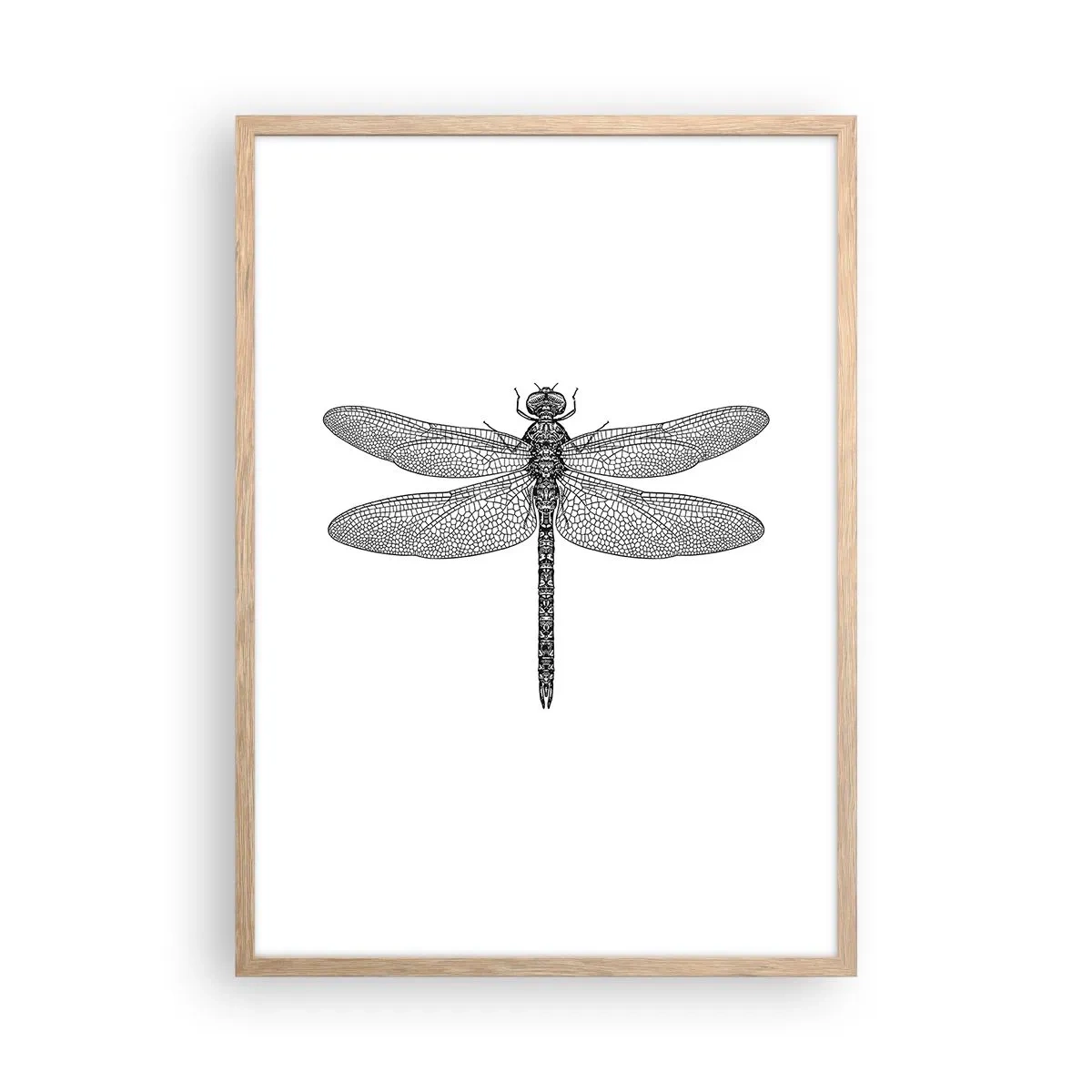 Affiche dans un chêne clair - Poster - Précision de la nature - 50x70 cm