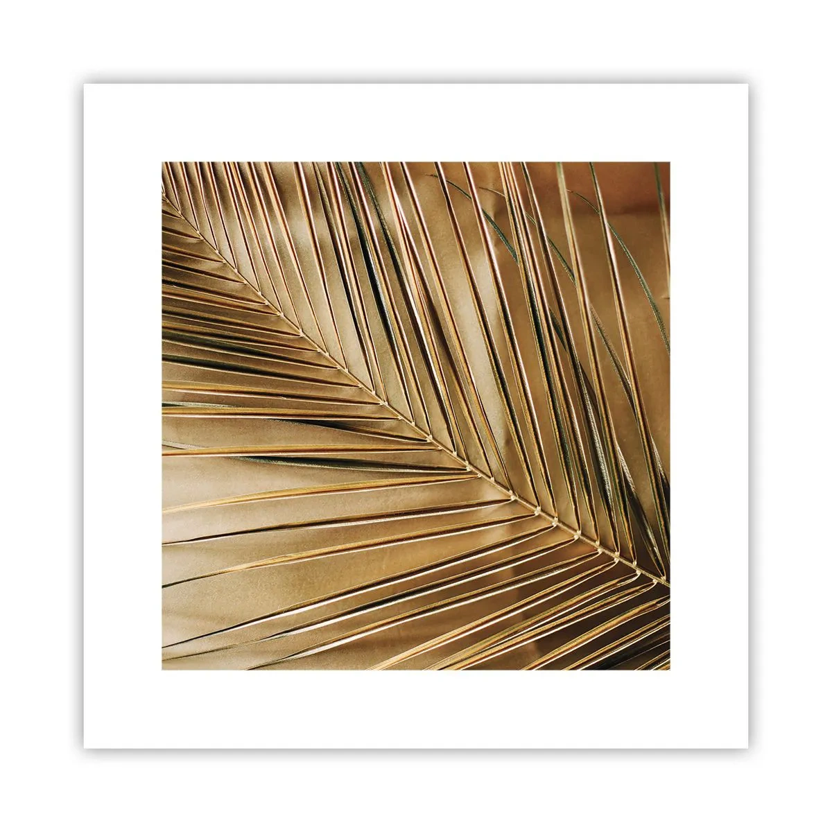 Affiche - Poster - Colonnade naturelle - 30x30 cm