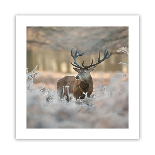 Affiche - Poster - Une matinée animée - 40x40 cm