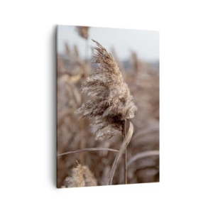 Impression sur toile - Image sur toile - Graminées délicates dans des tons beiges sur fond de nature - 50x70cm - Il est temps de s'envoler avec le vent - Décoration murale moderne pour le salon et la chambre ARTTOR