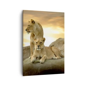 Impression sur toile - Image sur toile - Deux lionnes se reposant sur un rocher au coucher du soleil - 50x70cm - Majesté royale - Décoration murale moderne pour le salon et la chambre ARTTOR
